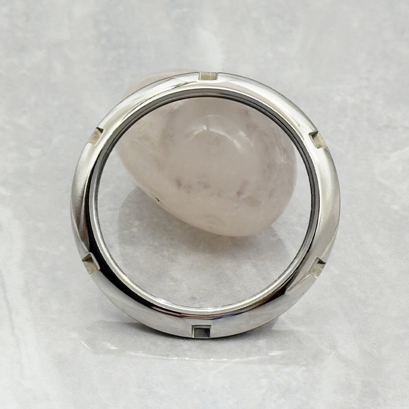 Mod Transparent Glass Watch Ca - Reel Case recension och pris